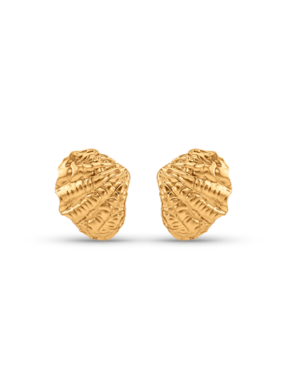 Oversized Shell Studs In Gold