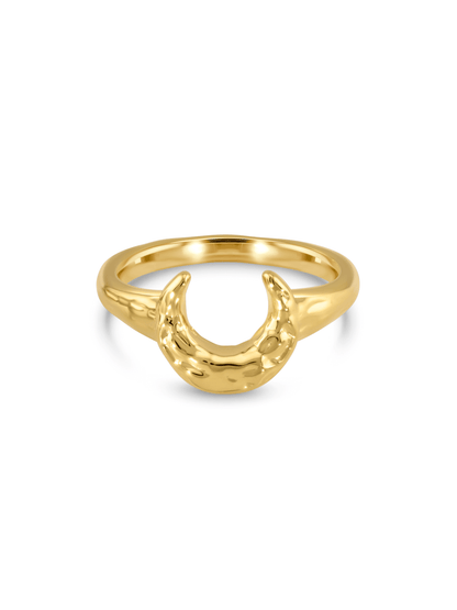 Amulet Horn Ring In Gold