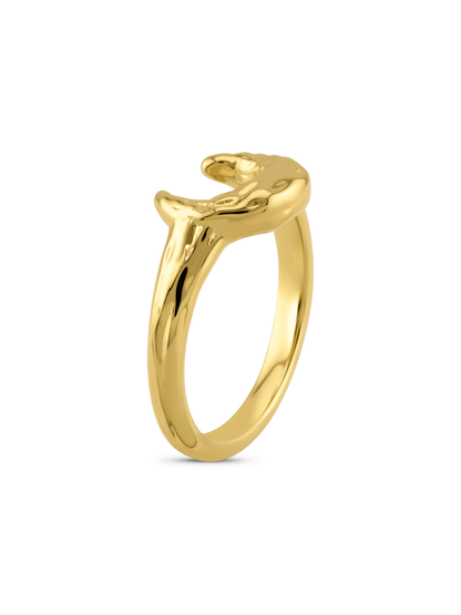 Amulet Horn Ring In Gold