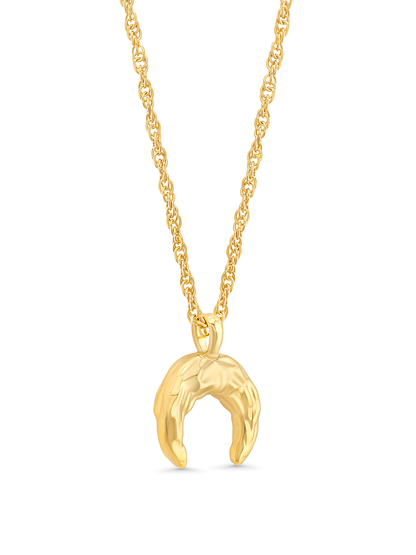 Amulet Hammered Horn Pendant Necklace In Gold