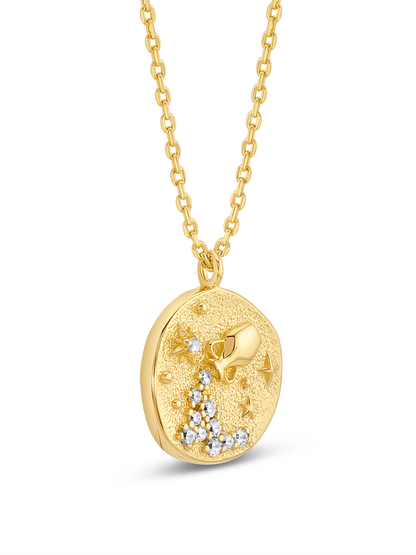 Aquarius Horoscope Pendant Necklace In Gold
