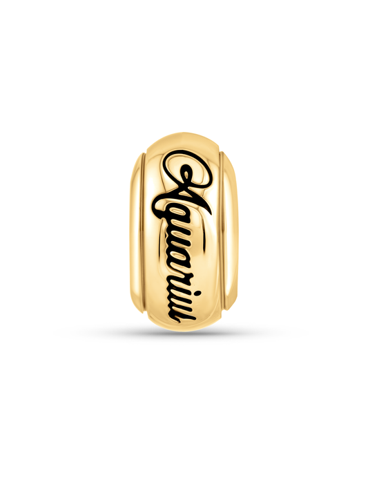 Thread-On 3D Aquarius Charm In Gold