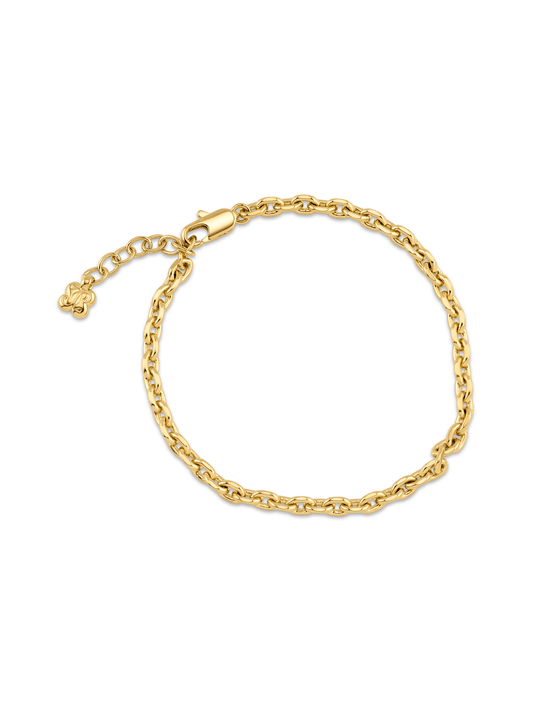 Knife Edge Cable Chain Bracelet In Gold