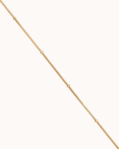 Box Chain Station Bracelet in Gold