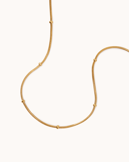 Box Chain Station Bracelet in Gold