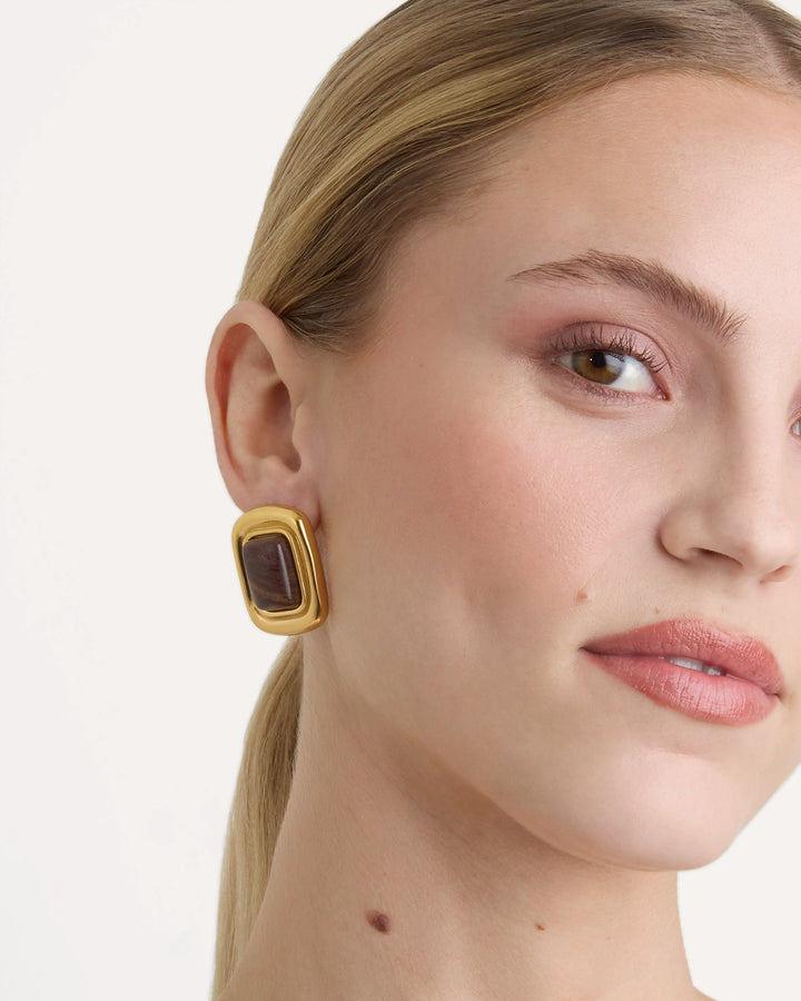 Brown Statement Studs in Gold