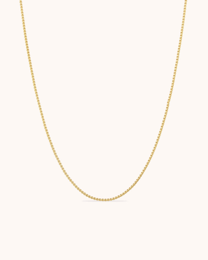 Thin Chain Necklace in Gold