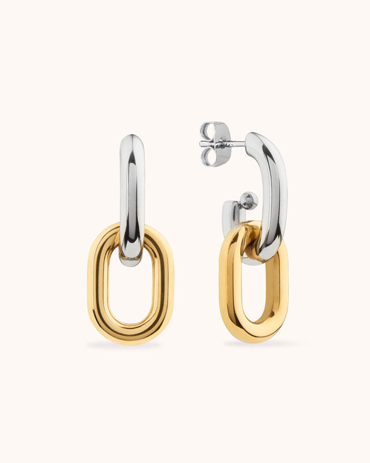 Mixed Metal Small Link Earrings