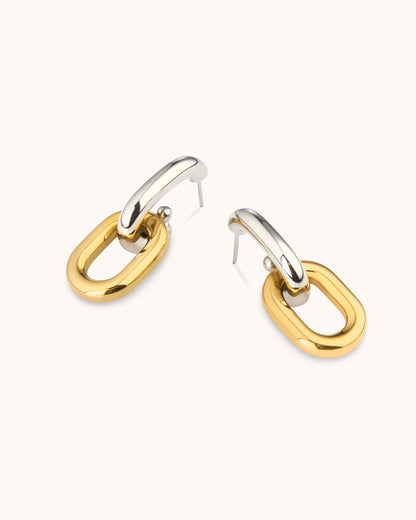 Mixed Metal Small Link Earrings