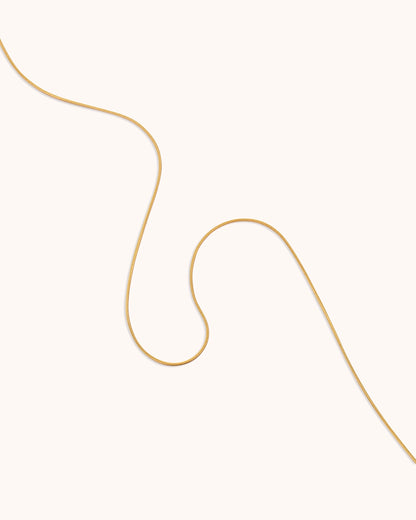 Waterproof Slinky Thin Chain Necklace in Gold
