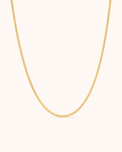 Waterproof Slinky Long Chain Necklace in Gold