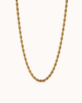 Thin Twist Necklace