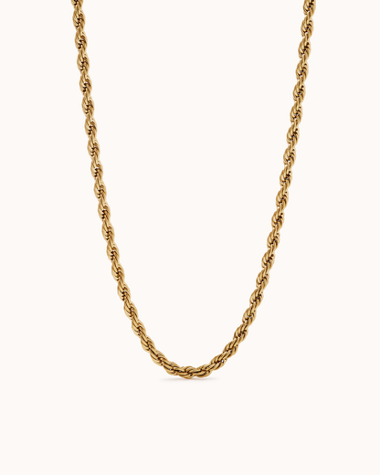 Thin Twist Necklace