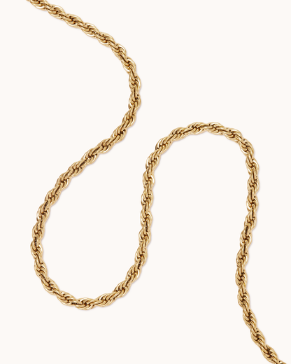 Thin Twist Necklace