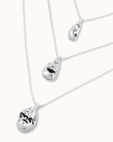 Layered Pendant Necklace in Silver